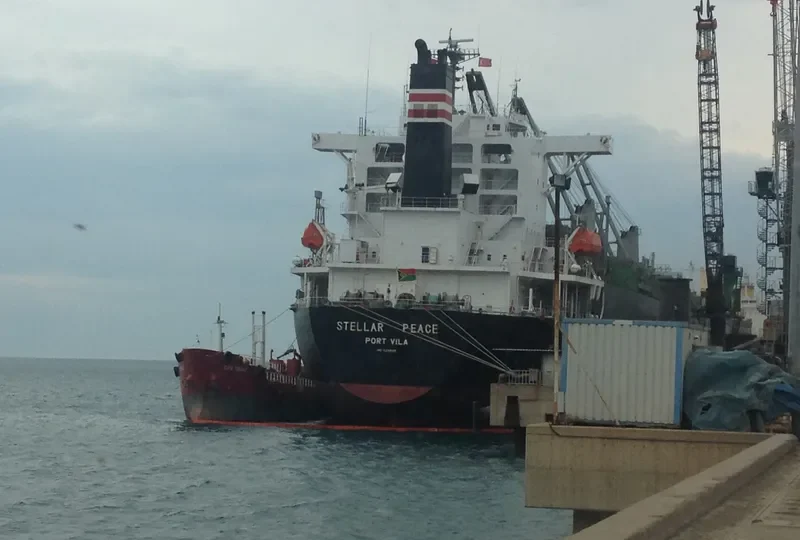 THANH THANH DAT 8999 Bulk Carrier IMO 9231585 photo 6