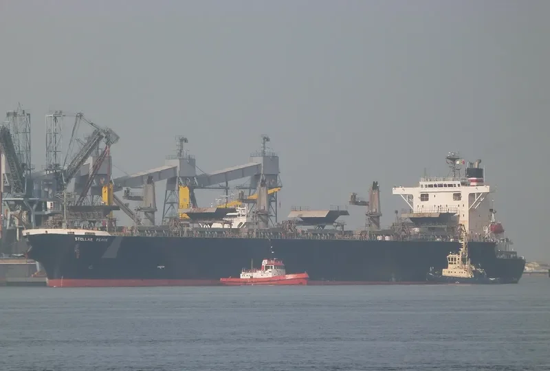 THANH THANH DAT 8999 Bulk Carrier IMO 9231585 photo 7