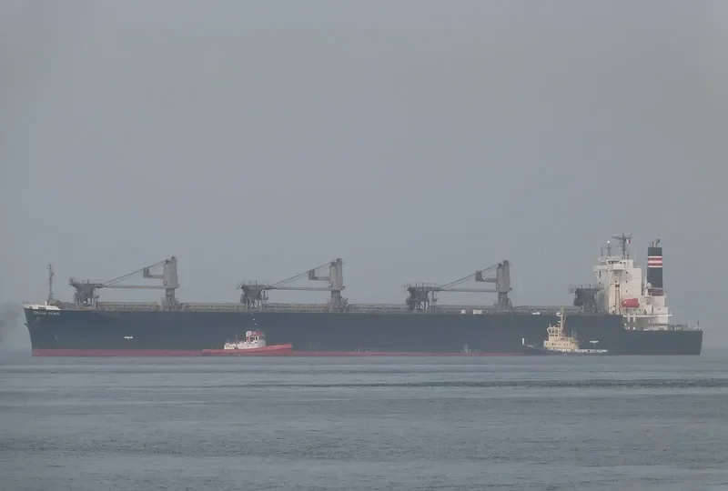 THANH THANH DAT 8999 Bulk Carrier IMO 9231585 photo 8