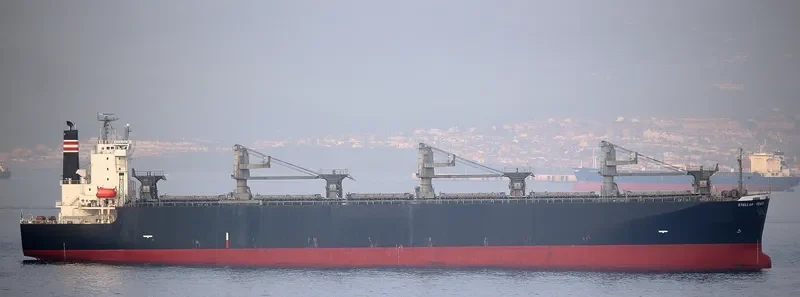 THANH THANH DAT 8999 Bulk Carrier IMO 9231585 photo 9