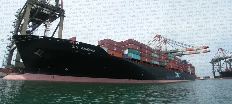 MSC PANAMA Container Ship IMO 9231781 photo 8