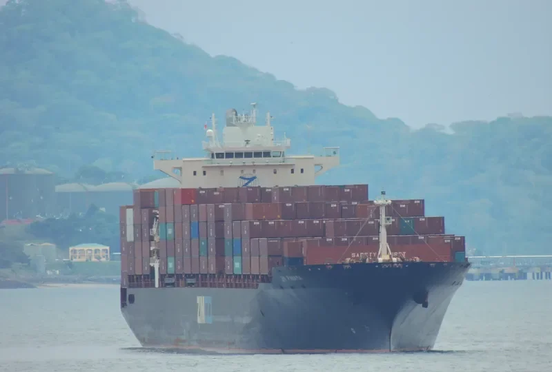 MSC PANAMA Container Ship IMO 9231781 photo 10