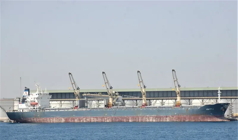 SHUN DING 69 Bulk Carrier IMO 9231987 photo 6