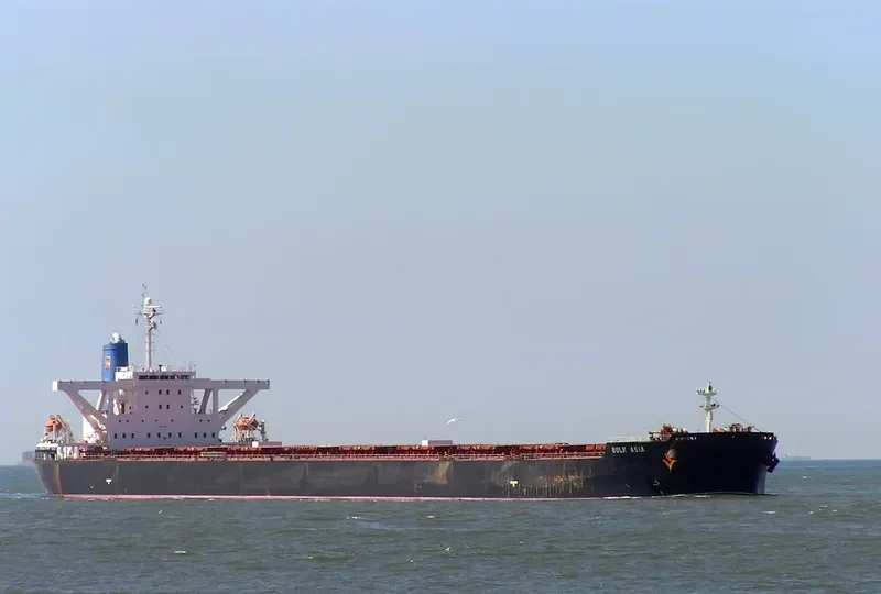 WINNING ENDURANCE Bulk Carrier IMO 9232058