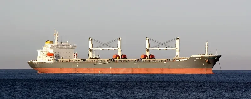 ARION Bulk Carrier IMO 9232175 photo 7