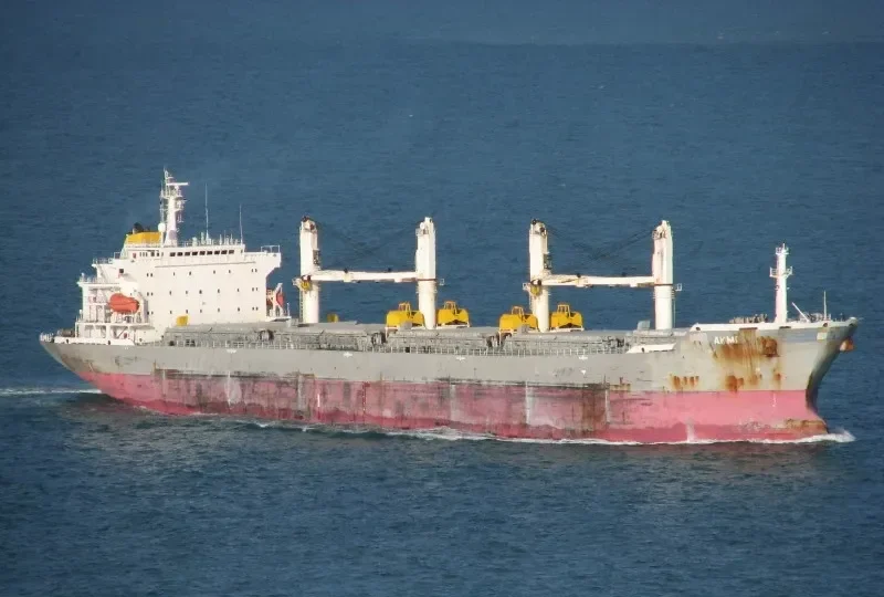 ARION Bulk Carrier IMO 9232175 photo 10