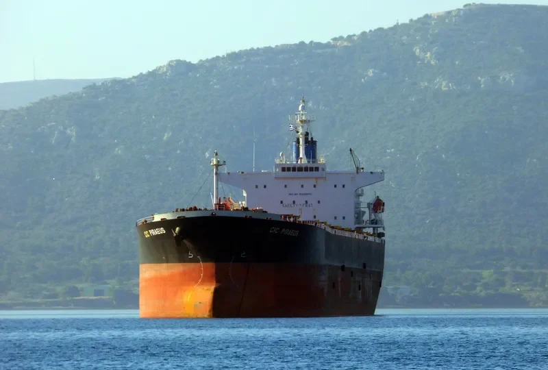 CHANG YANG JIN AN Bulk Carrier IMO 9232371