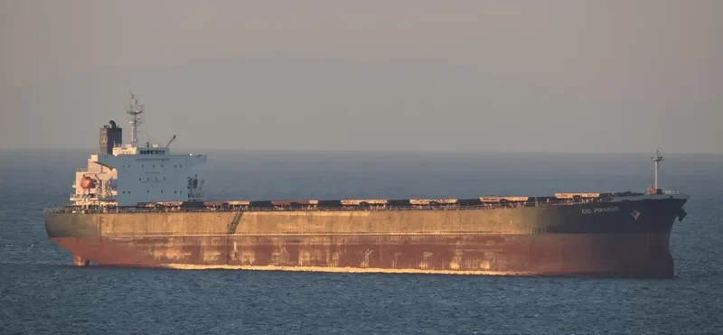 CHANG YANG JIN AN Bulk Carrier IMO 9232371 photo 3