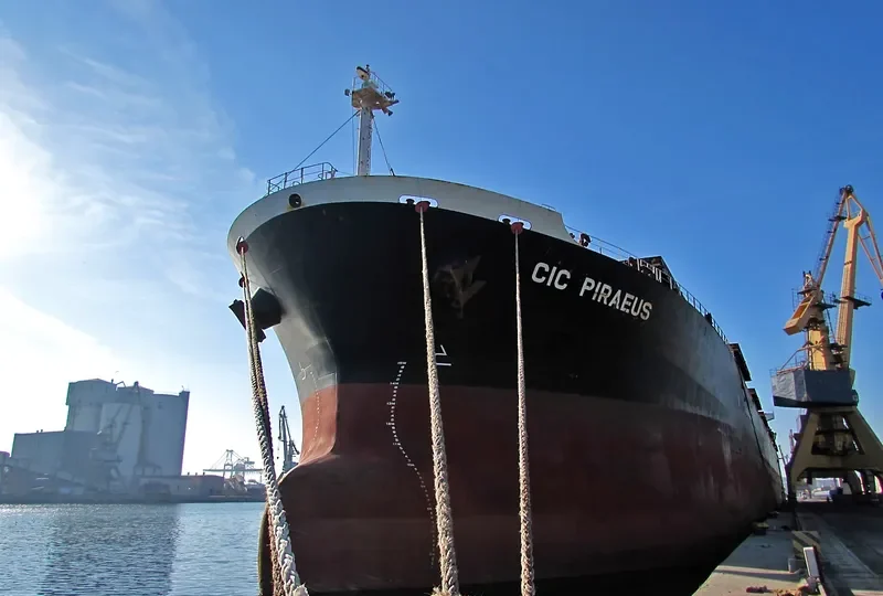 CHANG YANG JIN AN Bulk Carrier IMO 9232371 photo 8