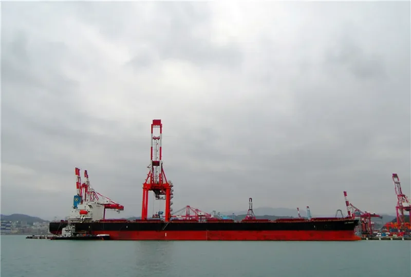 CHANG YANG JIN AN Bulk Carrier IMO 9232371 photo 10
