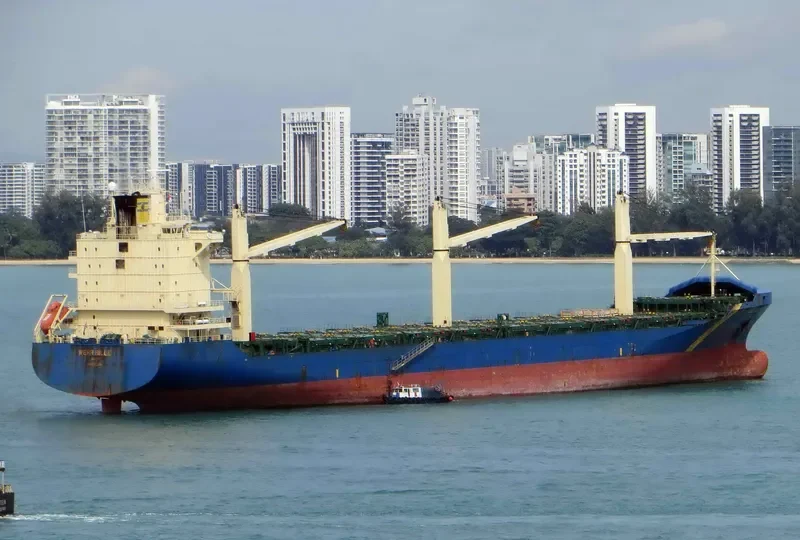 MSC FLOSTA III Container Ship IMO 9232395 photo 3