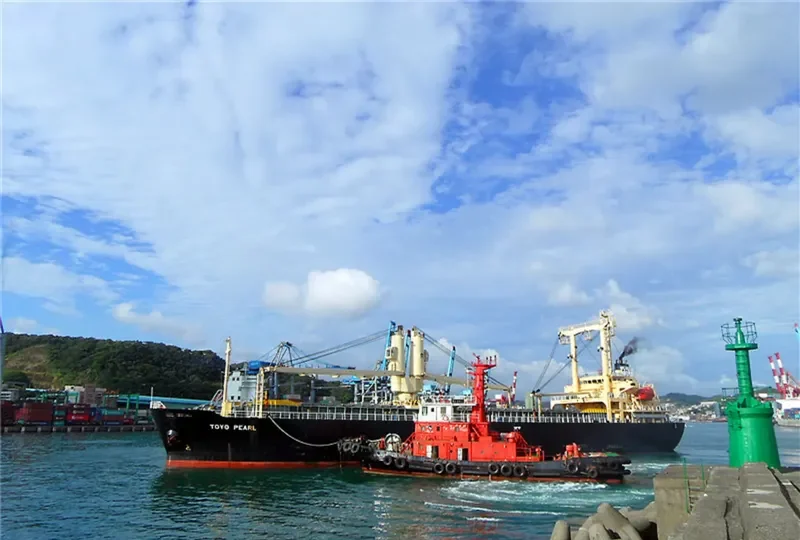 TOSEI MARU General Cargo IMO 9232541