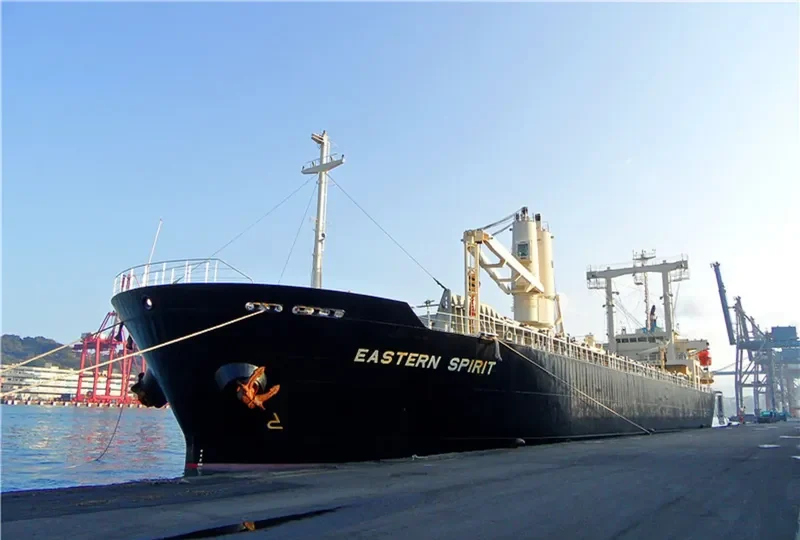 TOSEI MARU General Cargo IMO 9232541 photo 6
