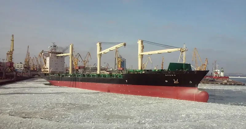 MSC NIKOLETA Container Ship IMO 9232644