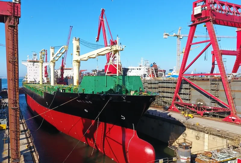 MSC NIKOLETA Container Ship IMO 9232644 photo 3