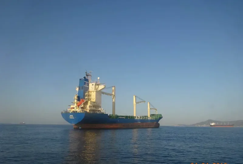 MSC NIKOLETA Container Ship IMO 9232644 photo 10