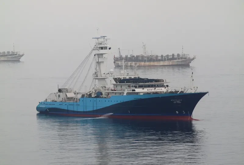 MONTELUCIA General Cargo IMO 9232668 photo 2