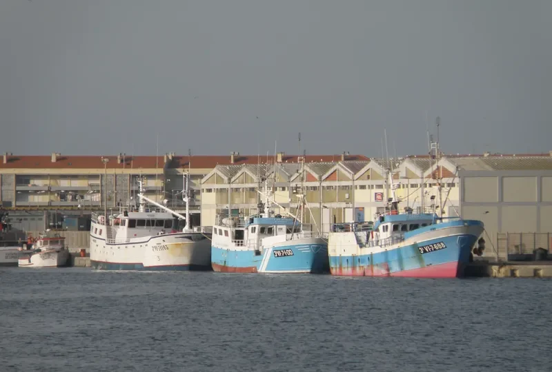 LUCES DE BOHEMIA General Cargo IMO 9233040 photo 3