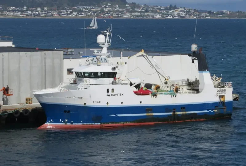 DOGGI General Cargo IMO 9233117