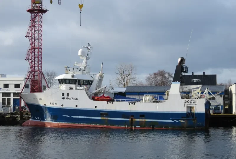 DOGGI General Cargo IMO 9233117 photo 2