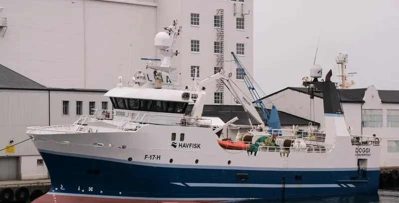 DOGGI General Cargo IMO 9233117 photo 5
