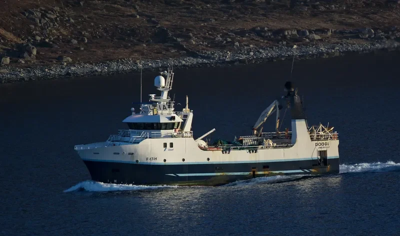 DOGGI General Cargo IMO 9233117 photo 8
