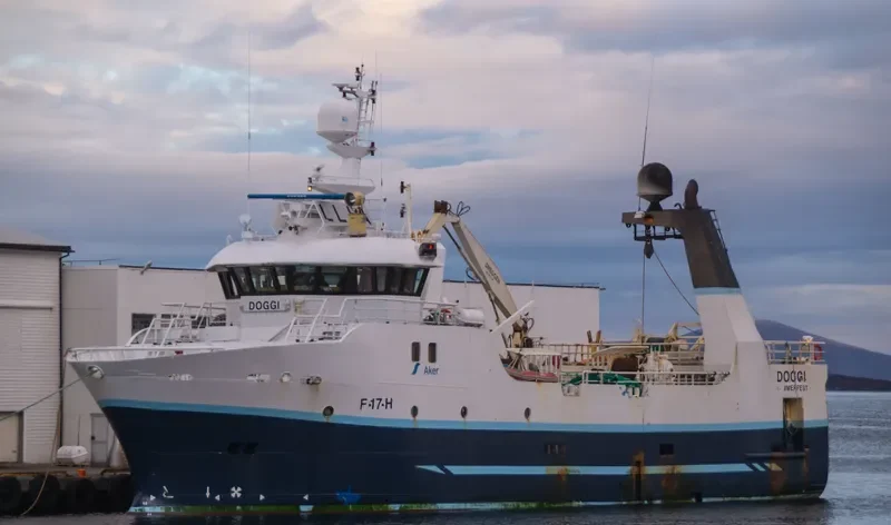 DOGGI General Cargo IMO 9233117 photo 9