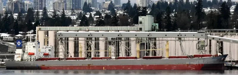 ZHONG XING DA79 Bulk Carrier IMO 9233179 photo 4