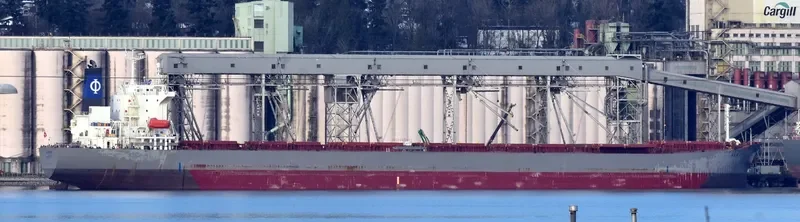 ZHONG XING DA79 Bulk Carrier IMO 9233179 photo 6