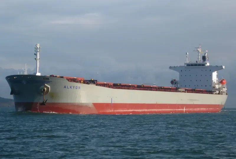 ZHONG XING DA79 Bulk Carrier IMO 9233179 photo 9