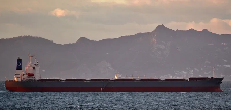 AMAZON Bulk Carrier IMO 9233260 photo 5