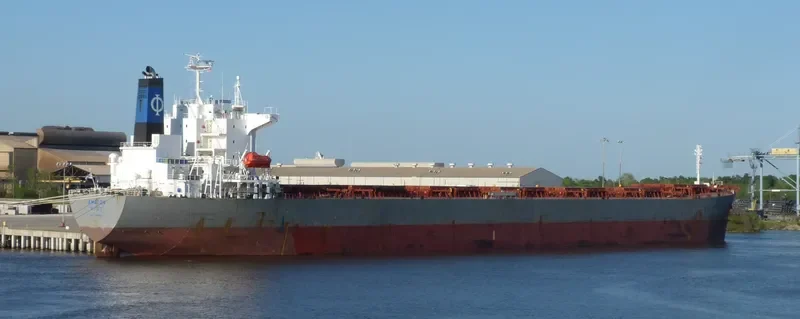 AMAZON Bulk Carrier IMO 9233260 photo 6