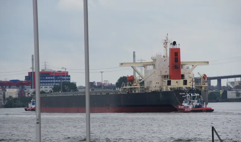 BERGE APO Bulk Carrier IMO 9233337 photo 8