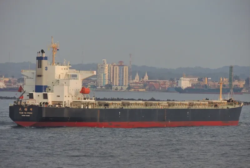 TIAN YU FENG Bulk Carrier IMO 9233351