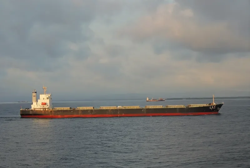 TIAN YU FENG Bulk Carrier IMO 9233351 photo 2