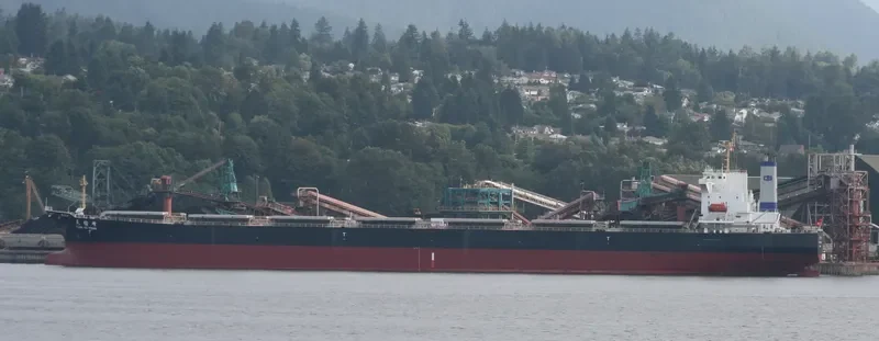 TIAN YU FENG Bulk Carrier IMO 9233351 photo 5