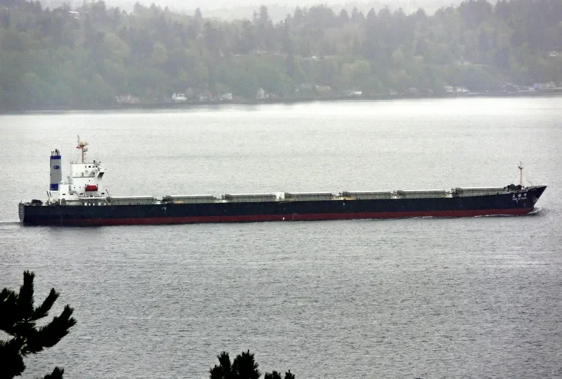 TIAN YU FENG Bulk Carrier IMO 9233351 photo 9