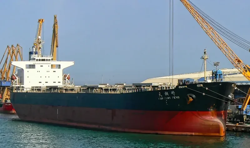TIAN TONG FENG Bulk Carrier IMO 9233363