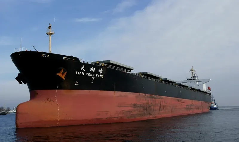 TIAN TONG FENG Bulk Carrier IMO 9233363 photo 3