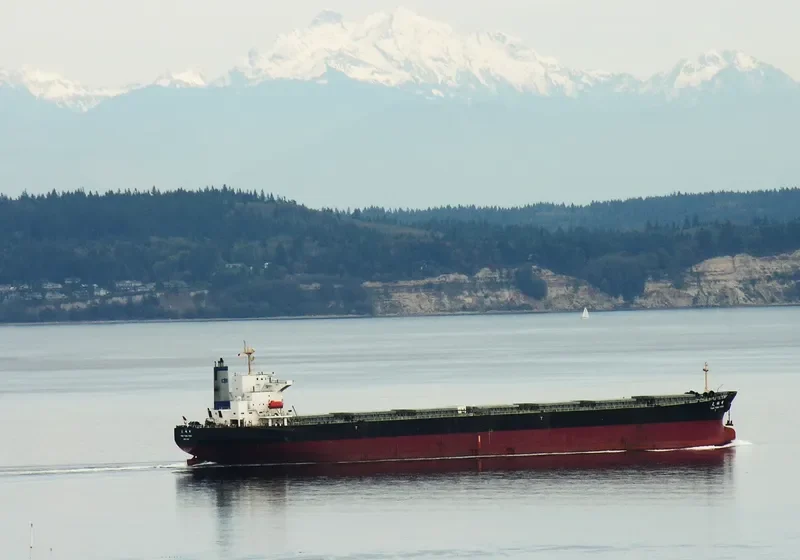 TIAN TONG FENG Bulk Carrier IMO 9233363 photo 6