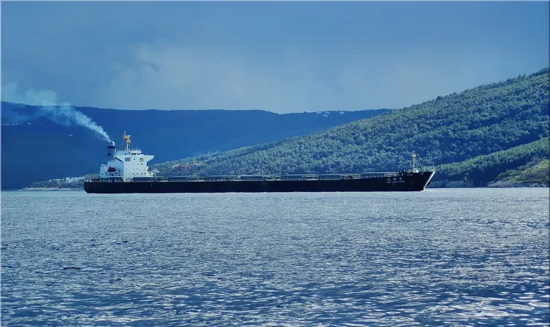 TIAN TONG FENG Bulk Carrier IMO 9233363 photo 7