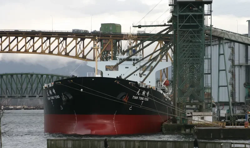 TIAN TONG FENG Bulk Carrier IMO 9233363 photo 9