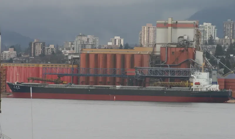 TIAN TONG FENG Bulk Carrier IMO 9233363 photo 10