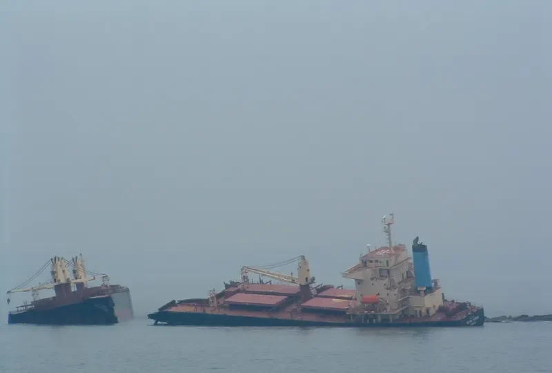 OCEAN SERAYA Bulk Carrier IMO 9233375 photo 5