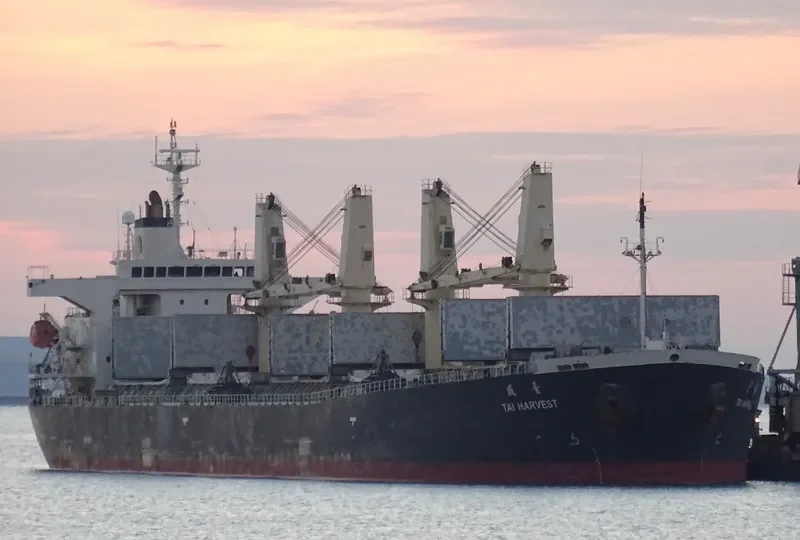 LOFTY MOUNTAIN Bulk Carrier IMO 9233428