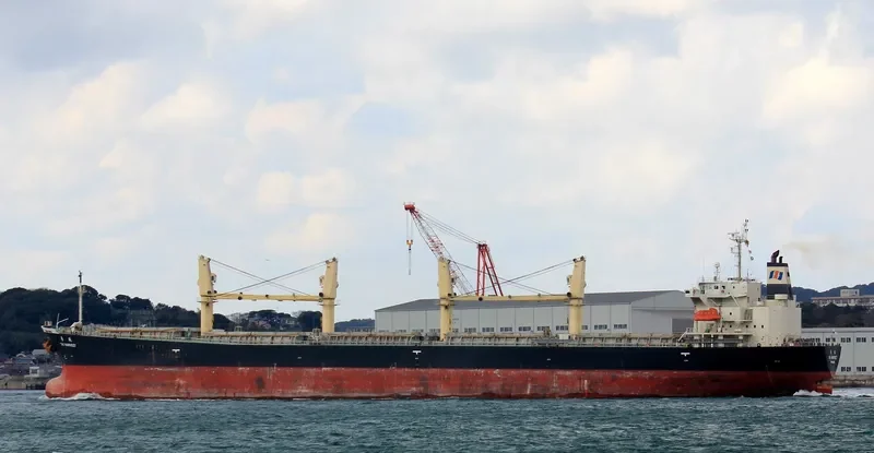 LOFTY MOUNTAIN Bulk Carrier IMO 9233428 photo 6