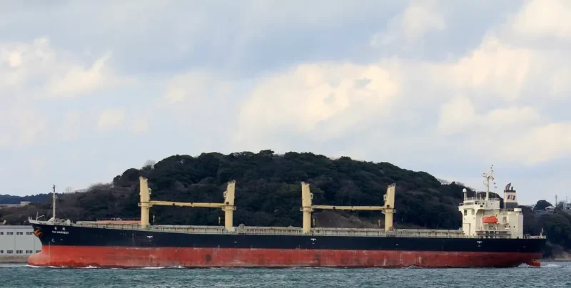 LOFTY MOUNTAIN Bulk Carrier IMO 9233428 photo 7