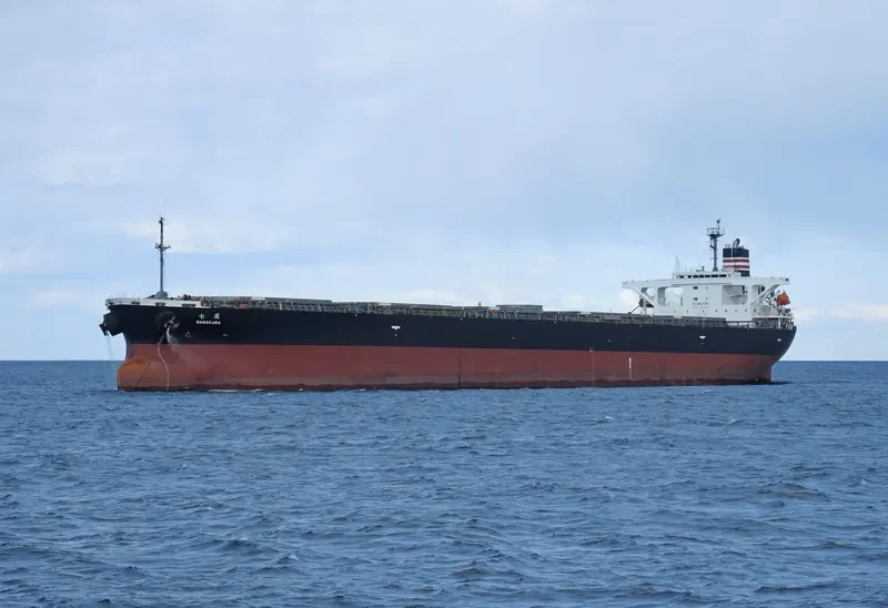 AMANAH MOROWALI AMC Bulk Carrier IMO 9233478 photo 2