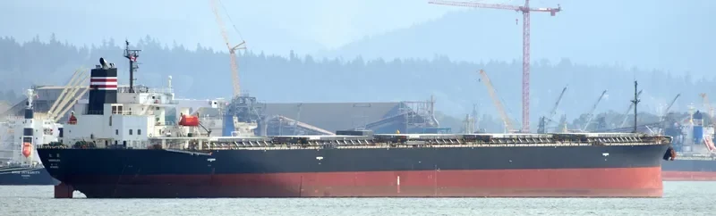 AMANAH MOROWALI AMC Bulk Carrier IMO 9233478 photo 9