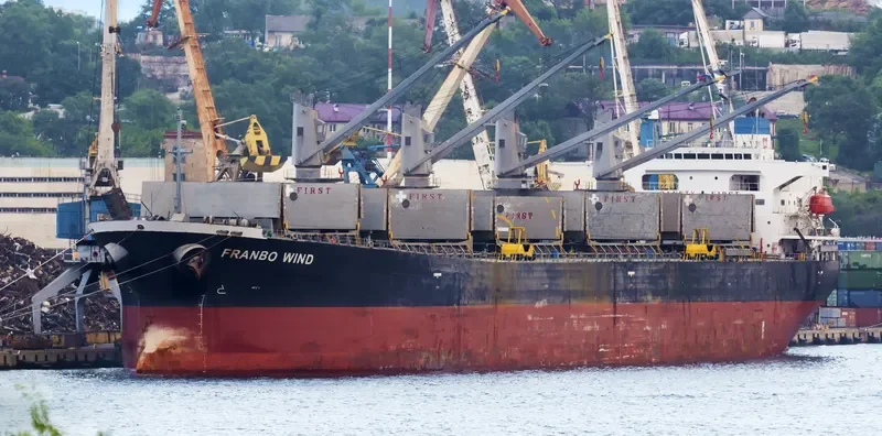ZHONG LIANG HUA DONG Bulk Carrier IMO 9233480 photo 6
